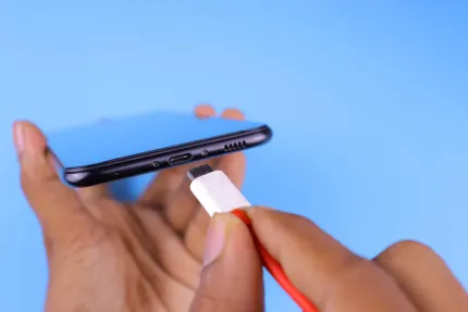 Casino Mobile Wins Application mobile